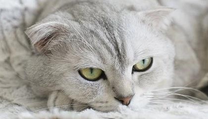 jiuyou的慢生活启示：在时间里种下美好